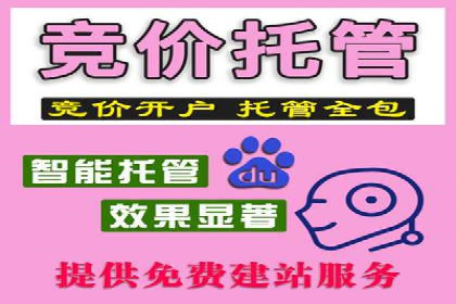 百度优化推广案例：关键词优化与SEO策略